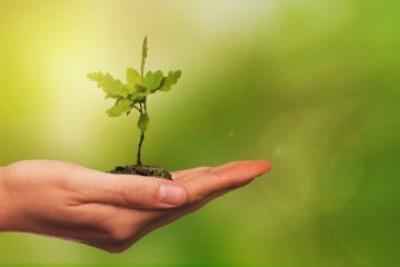 Campagna di comunicazione locale sugli imballaggi in plastica biodegradabile e compostabile